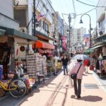 Yanaka Historical Walking Tour in Tokyo's Old Town - Practical Details and Tips for Travelers