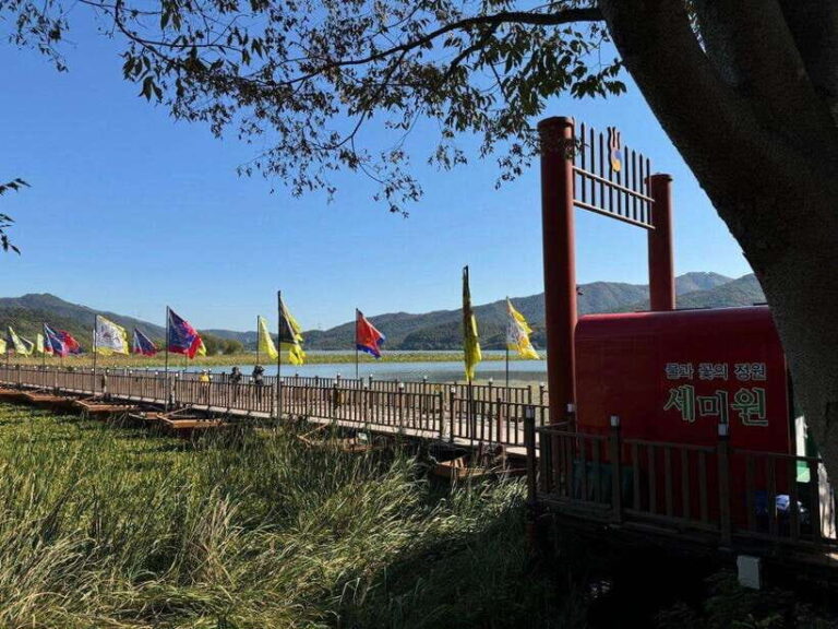 Yangpyeong Day Trip:Nature, Art & Cafe in Yangpyeong - Practical Considerations and Tips