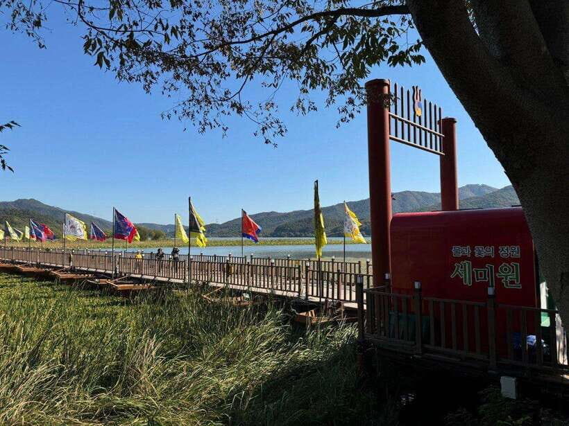 Yangpyeong Day Trip:Nature, Art & Cafe in Yangpyeong - Practical Considerations and Tips