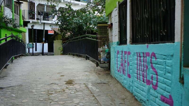 Yelapa: Catamaran Cruise with Lunch and Open Bar - What to Expect from the Yelapa Catamaran Tour