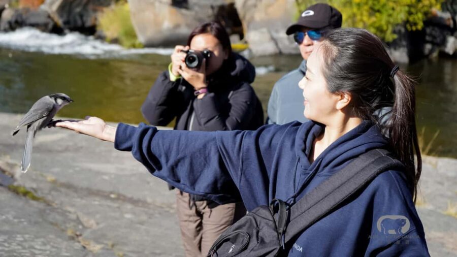 Yellowknife: Cameron Falls Nature Hiking Tour - Frequently Asked Questions