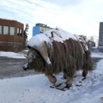 Yellowknife City Tour - Who Should Consider This Tour?