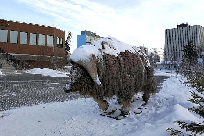 Yellowknife City Tour - Who Should Consider This Tour?