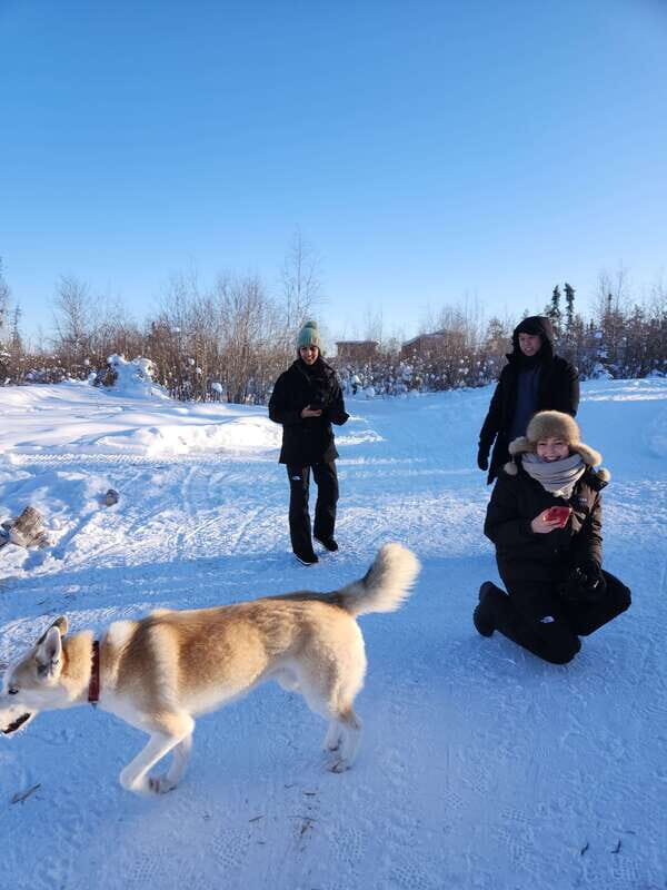 Yellowknife: Dog Sledding Tour - Who Should Consider This Tour?