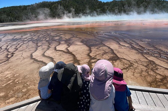 Yellowstone Bus Tour - What Travelers Say