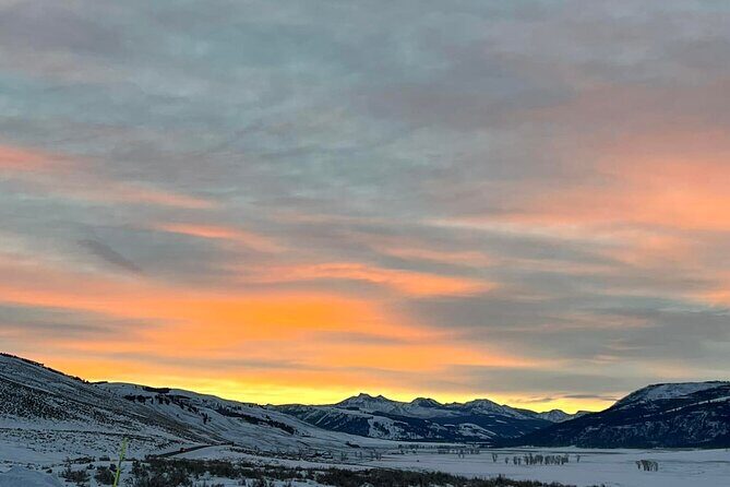 Yellowstone Full-Day Upper Loop with Wildlife Adventure w/Lunch - Exploring the Itinerary: What to Expect