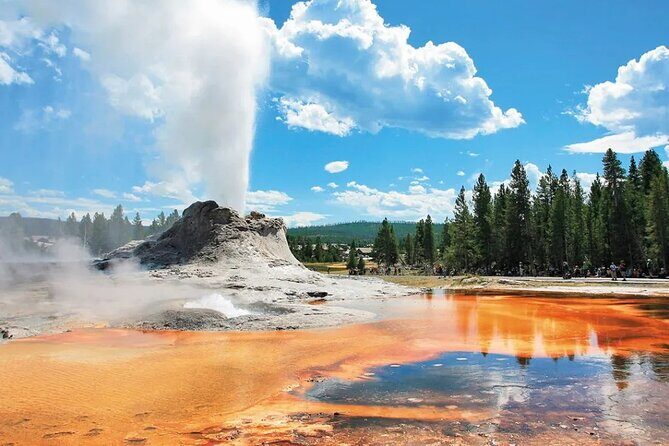 Yellowstone Grand Teton and Coeur dAlene 5-Day Tour from Seattle - Who This Tour Is Perfect For