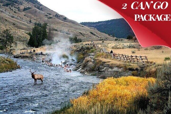 Yellowstone & Grand Teton National Parks: Small Group 6-Day Tour - Final Thoughts