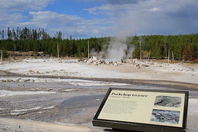 Yellowstone Lower Loop VIP Full-Day Private Tour with Lunch - The Experience and What It Means for You