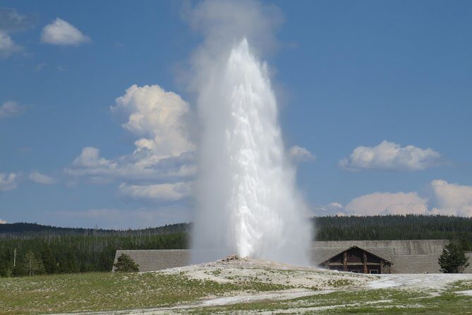 Yellowstone National Park - Full-Day Lower Loop Tour from West Yellowstone - What Makes This Tour Stand Out?