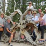 Yellowstone National Park - PRIVATE Full-Day Lower Loop Tour from W. Yellowstone - Who Should Consider This Tour?
