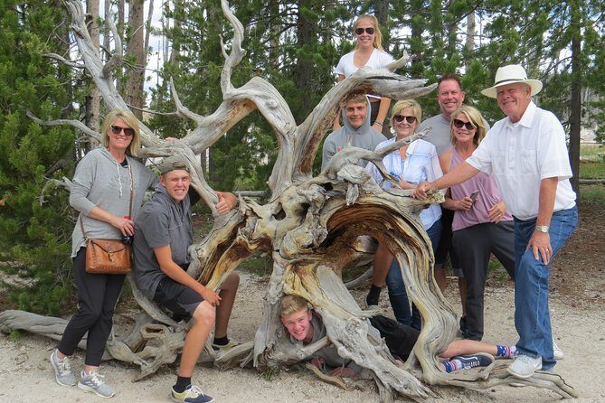 Yellowstone National Park - PRIVATE Full-Day Lower Loop Tour from W. Yellowstone - Who Should Consider This Tour?