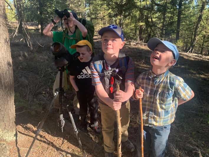 Yellowstone Old Faithful and Waterfall Tour - Who should consider this tour?