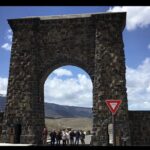 Yellowstone Wildlife and Photo Tours Upper Loop Tour From Cody - The Value of the Experience