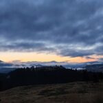 Yellowstone Wildlife Tour - The Sum Up