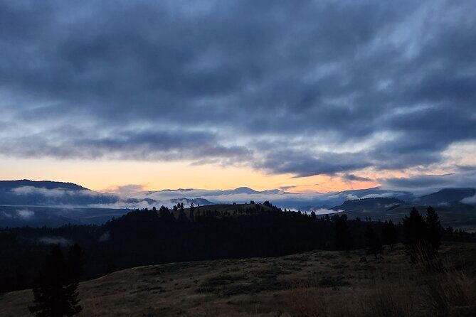 Yellowstone Wildlife Tour - The Sum Up