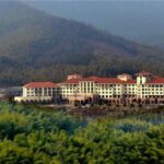 Yixing Bamboo Forest Private Day Tour from Wuxi with Lunch - Detailed Review: Why This Tour Excels