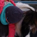Yoga with Horses - An In-Depth Look at Yoga with Horses in Skagway