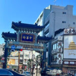 Yokohama: Chinatown Guided Walking Tour - What We Love & Consider
