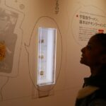 Yokohama: Eat up guided tour - Transportation and Practical Details