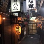 Yokohama Half Day Tour with a Local Expert Guide - Who Will Love This Tour?