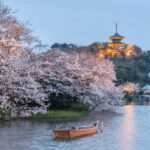 Yokohama Kanagawa One Day Private Charter car from Tokyo - In-Depth: What You Can Expect from the Itinerary