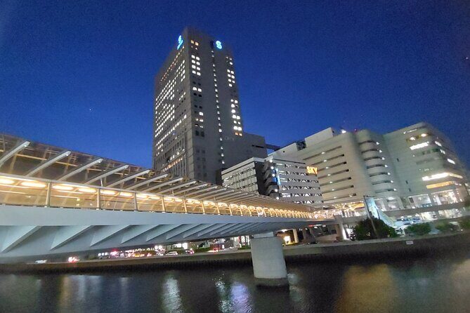 Yokohama Private Tour -Night View- - Final Thoughts