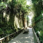 Yokosuka: Guided Island Tour to Sarushimas Forgotten Port - Our Final Thoughts: Who Should Join This Tour?