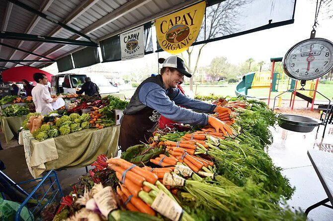 Yolo County Explorer: Culinary & Cultural Audio Tour - A Deep Dive into the Yolo County Explorer Tour