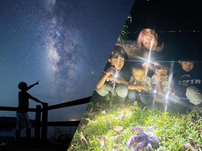 Yonaguni Island: Stargazing and Jungle Night Tour - Exploring Yonaguni Island’s Nighttime Marvels