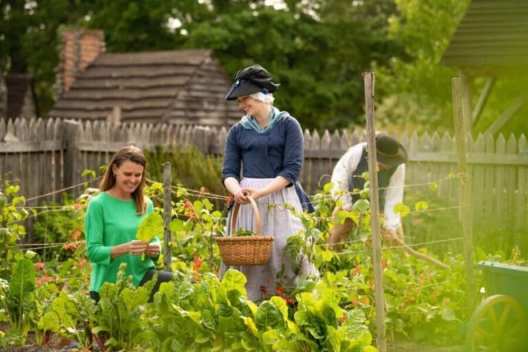 Yorktown American Revolution Museum Ticket with Combo Option - In-Depth Review of the Yorktown Experience