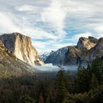 Yosemite Day Tour from San Francisco - Returning to San Francisco: The Long but Worthwhile Journey