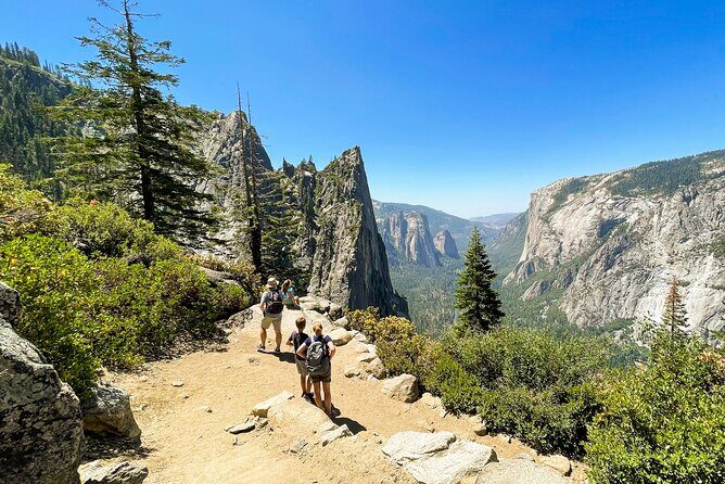Yosemite Family Explorers - Customizable Private Tour - Why Families Rave About This Tour