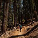 Yosemite High Country & Mariposa Full Day Small Group Tour & Hike - FAQ