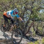 Yosemite Valley Area: Standard Bike Rental - Who Will Love This Experience?
