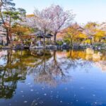 Your Private Vacation Photography Session In Kyoto - The Bottom Line: Who Is This Tour Perfect For?
