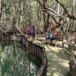 Yucatan: Get to Know the 5 Emblematic Points Experience - Deep Dive into Each Stop