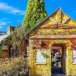 Yufuin: Onsen Wellness & Culinary Delights Guided Tour - In-Depth Review of the Yufuin Guided Tour