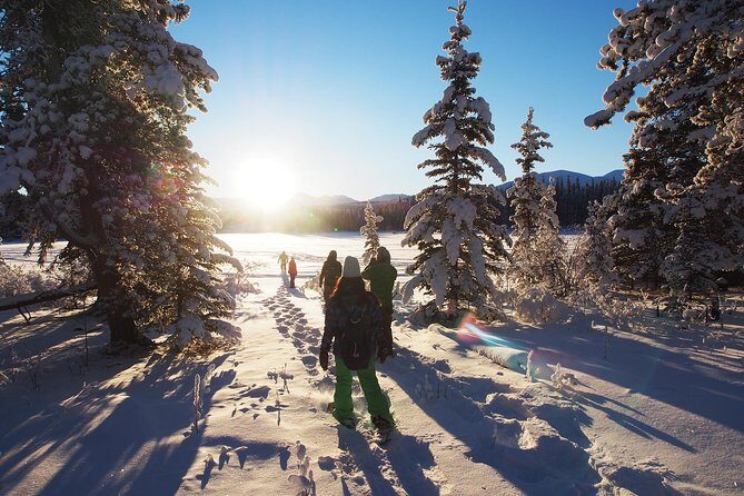 Yukon Snowshoeing Adventure | half day - An In-Depth Look at the Yukon Snowshoeing Tour