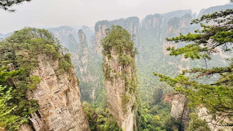 Zhangjiajie: National Forest Park 1-Day VIP Private Tour - The Experience Begins: From Hotel to Park