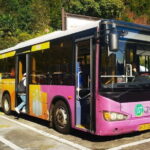 Zhangjiajie National Forest Park Tickets Booking - Why This Tour Works for You