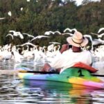 Zihuatanejo: Horseback Riding & Kayaking - Final Thoughts: The Value of Authentic Coastal Experiences