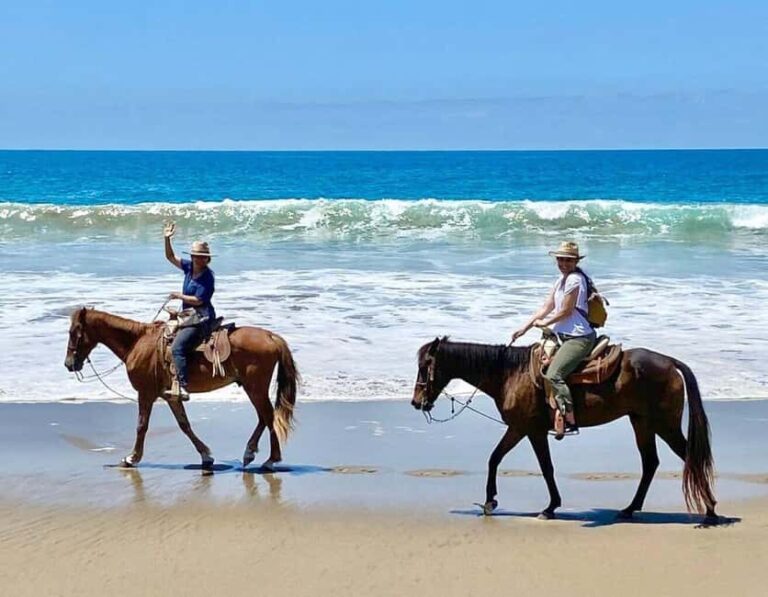 Zihuatanejo: Horseback Riding Tour with Playa Larga Beach - The Details for Travelers