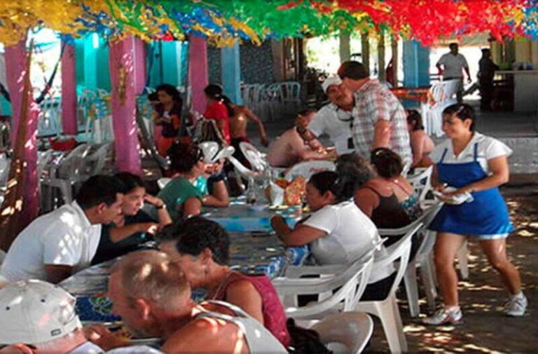 Zihuatanejo Ixtapa: Countryside Tour - Who Should Consider This Tour?