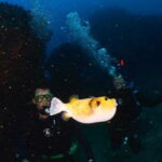 Zihuatanejo: Moonlit Dive at Las Gatas - In-Depth Review of the Moonlit Dive at Las Gatas