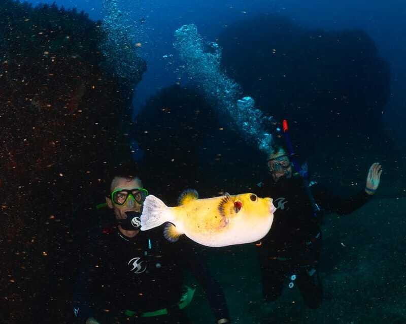 Zihuatanejo: Moonlit Dive at Las Gatas - In-Depth Review of the Moonlit Dive at Las Gatas
