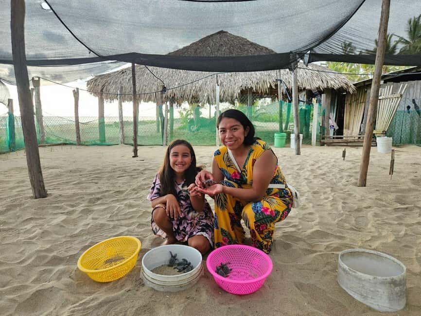 Zihuatanejo: Turtle Release Experience at Playa Blanca - A Closer Look at the Turtle Release Tour