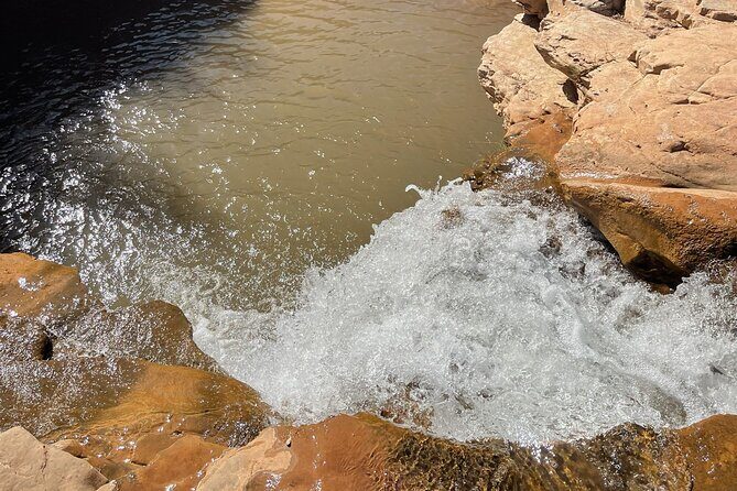Zion Hummer Tour to Zion Waterfall with swimming - The Value of the Zion Waterfall Hummer Tour