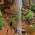 Zion National Park Full-Day Insider Tour - Logistics and Practical Aspects
