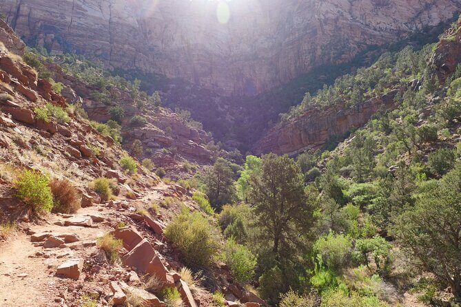 Zion National Park Small Group Tour from Las Vegas - FAQs